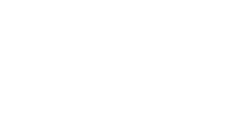 buguer king
